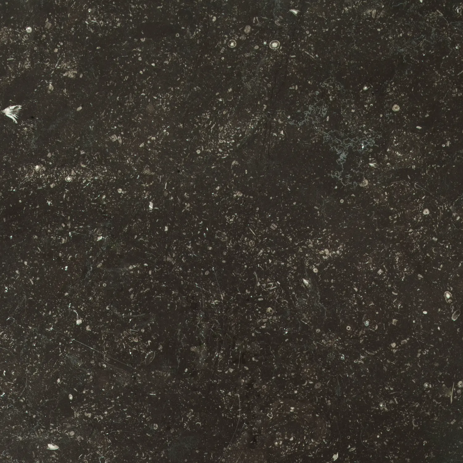 Black Stone