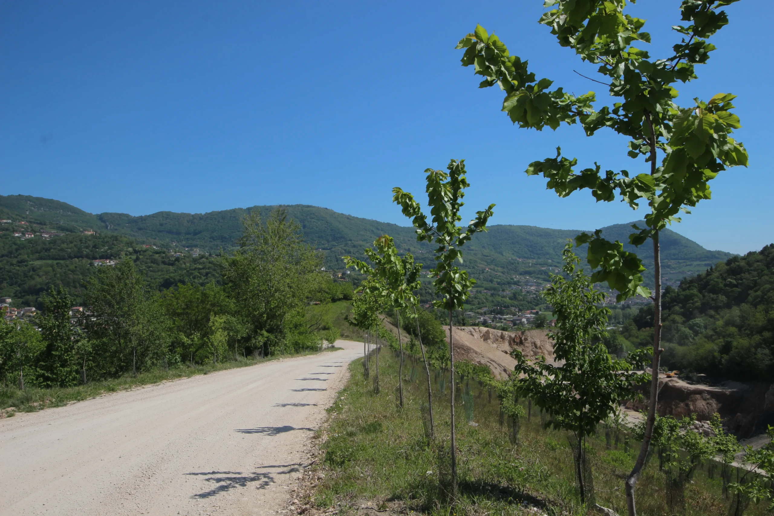 sostenibilità