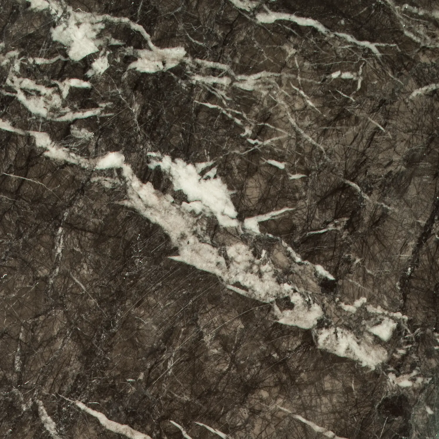 Grigio Carnico