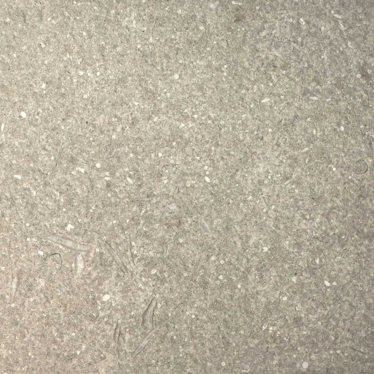 Grigio Olivo