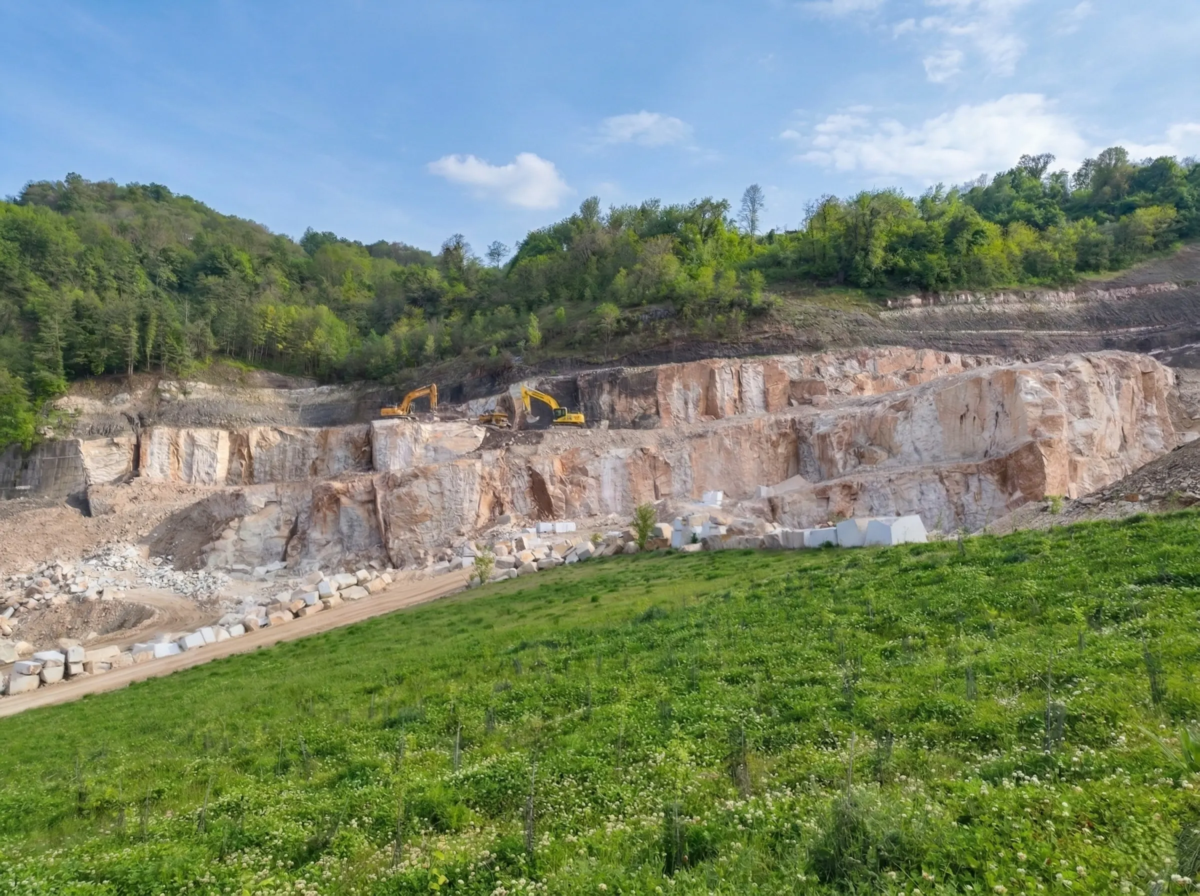 Ripristino ambientale (2)