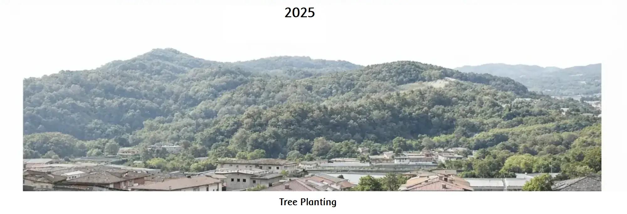2025