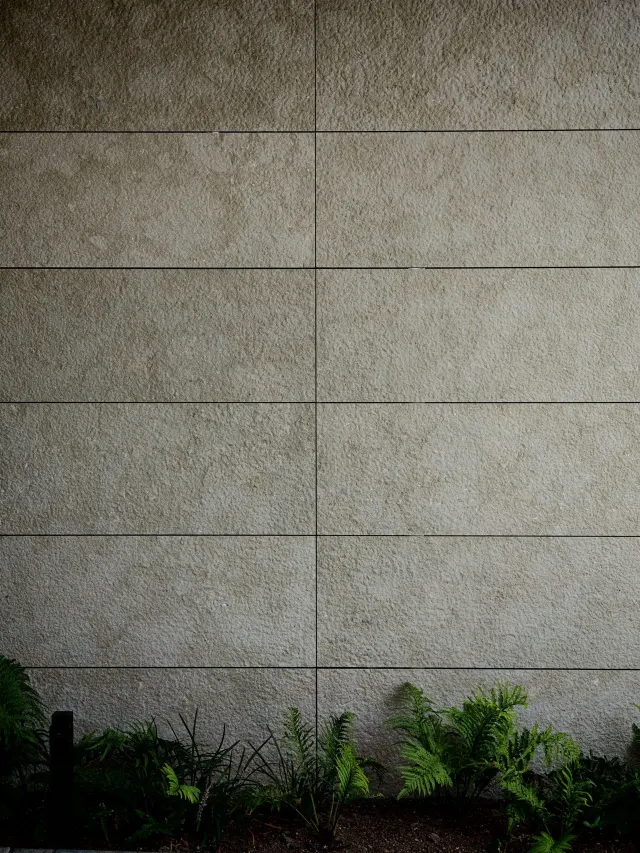 Villa NZ grigio olivo rock finish wall (12)