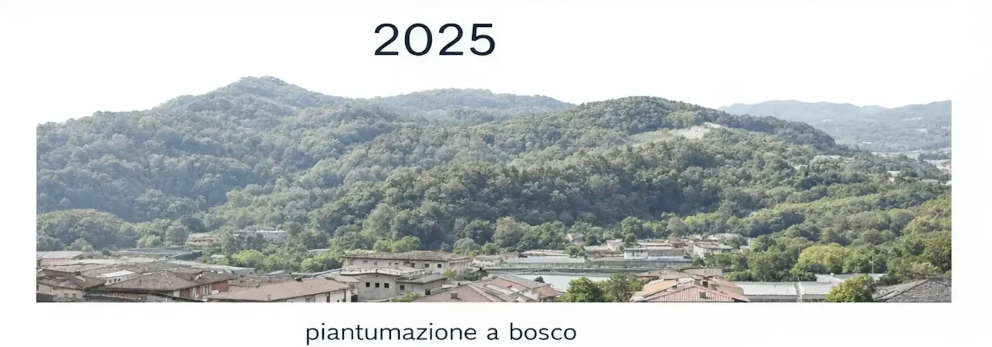2025